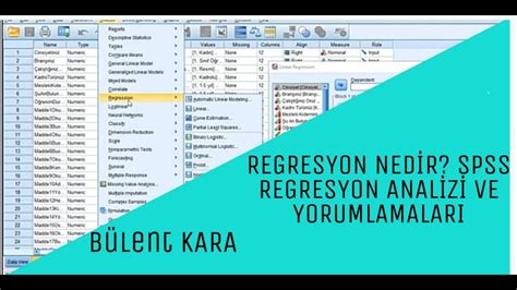 Regresyon Ned R Spss Regresyon Anal Z Nasil Yapilir Bas T Regresyon