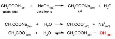 Hidr Lisis Concepto Proceso Y Tipos