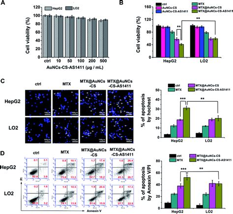 The Anti Cancer Effects Of MTX AuNCs CSAS1411 In HepG2 Cells And LO2