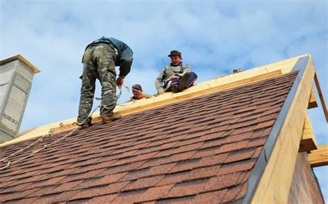 The Importance Of Hiring A Residential Roofing Professional Rugusat