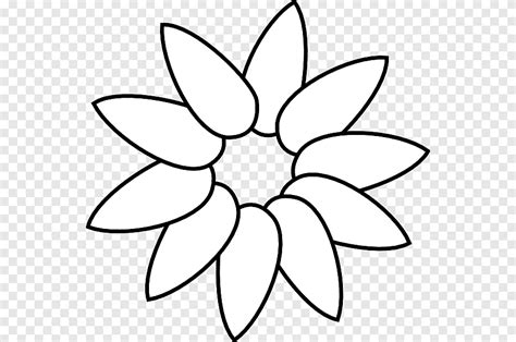 Common Sunflower Petal Drawing Layered Template White Png Pngegg