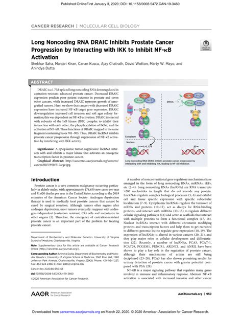 PDF Long Noncoding RNA DRAIC Inhibits Prostate Cancer Progression By