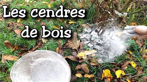 Permaculture Jardin Potager Les Cendres De Bois Comment Les