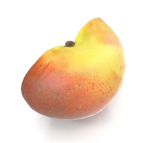 Half Of Peach With Seed Isolated On White Background 3d Illustration