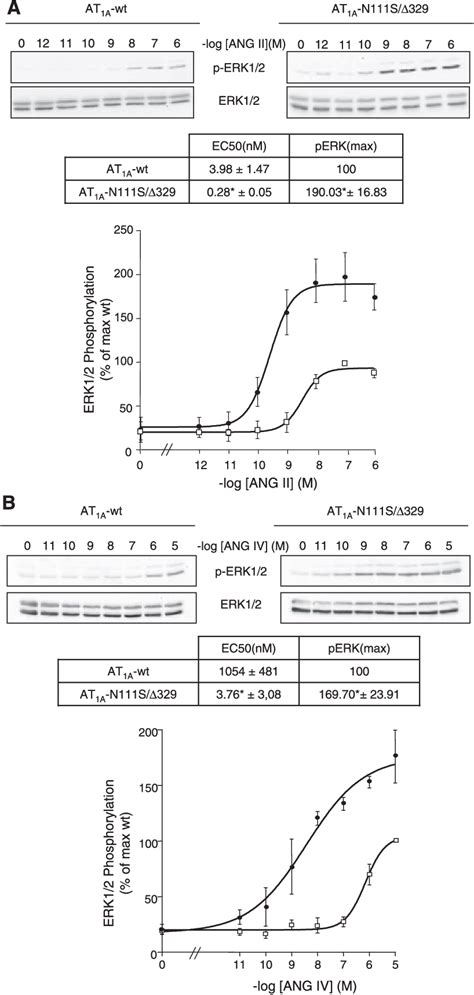 Pdf The At A Receptor Gain Of Function Mutant N S Delta Is