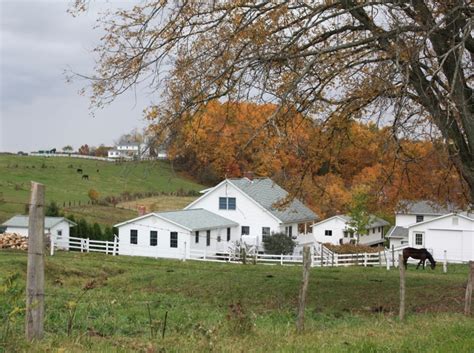 50 Captivating Amish Interior House Design Top Choices Of Architects