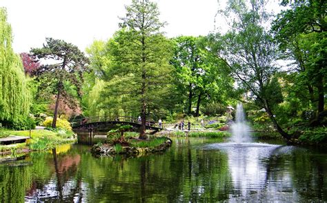 Ogr D Botaniczny We Wroc Awiu Zielona Enklawa W Centrum Miasta