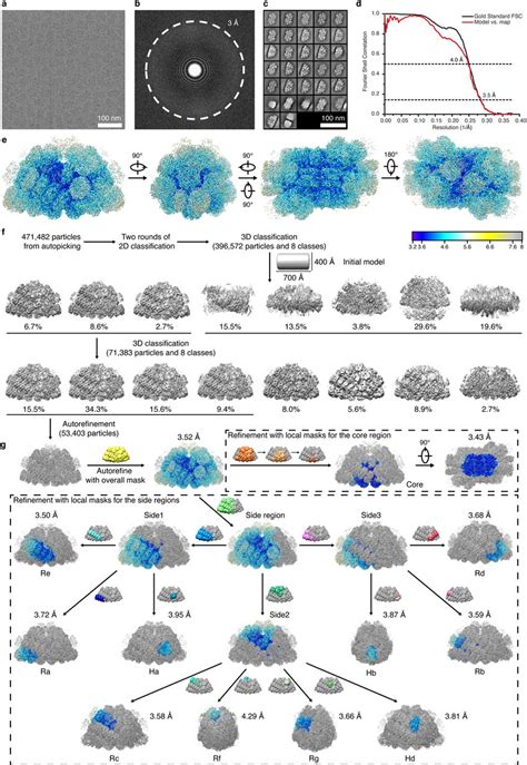 Cryo EM Analysis Of PBS Using Tecnai Krios Microscope And Gatan K2