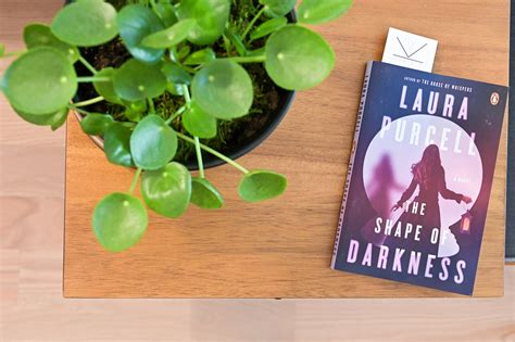 Book Feature The Shape Of Darkness By Laura Purcell Book Review