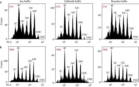 Determination Of Nuclear DNA Ploidy Distribution In The Mesocarp Of