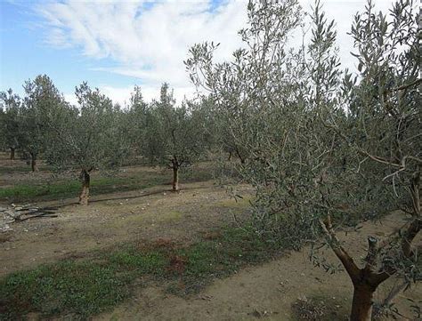 Grupo Borau Arag N Paga Millones En Ayudas A Agricultores Y