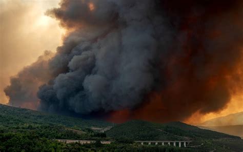 Incendi Sono Oltre Mila Gli Ettari Di Boschi Bruciati In Europa