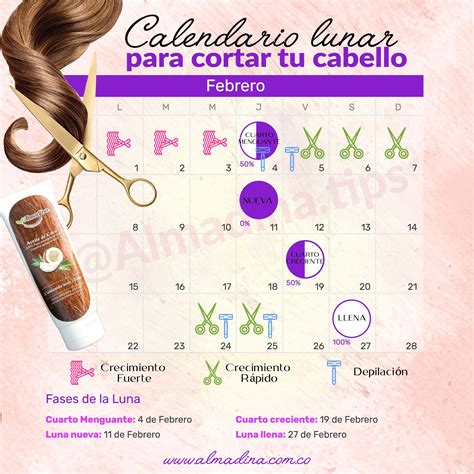 Calendario Lunar Febrero Para El Cabello Imagesee