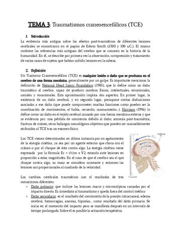 TEMA 3 NEURO Pdf