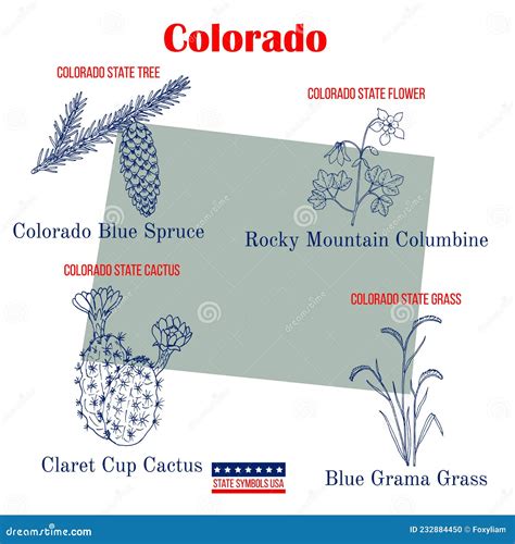 Colorado Set Of Usa Official State Symbols Vector Illustration