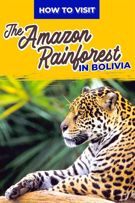 How to Visit the Amazon Rainforest in Bolivia | National parks, Bolivia ...