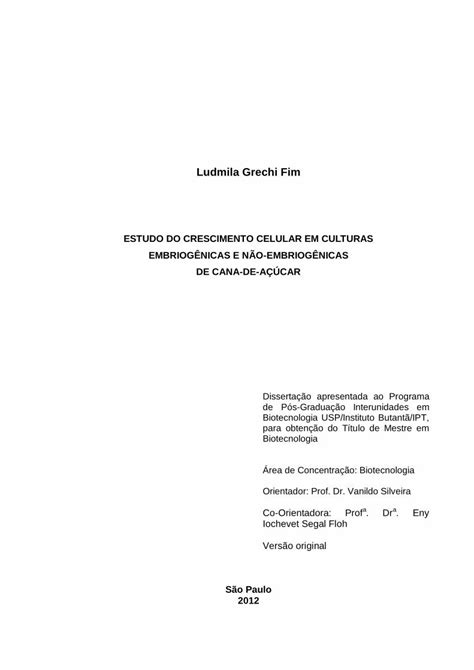 PDF Ludmila Grechi Fim Teses Usp Br Primeiros Modelos De Carros