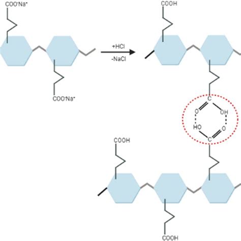 Intermolecular H Bonding In CMC Polymer Chains For Hydrogel Formation