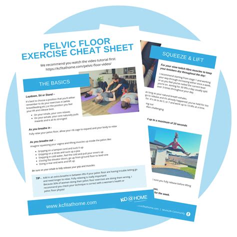 Pelvic Floor Exercises Cheat Sheet Kc Fit Home