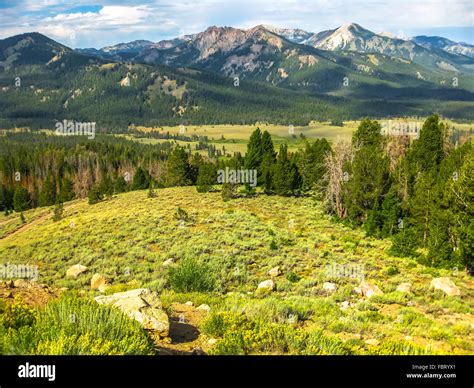 Sawtooth National Forest Stock Photo - Alamy