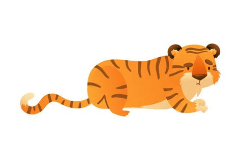 Cute Tiger Cartoon Lay Down Stock Photos Pictures And Royalty Free