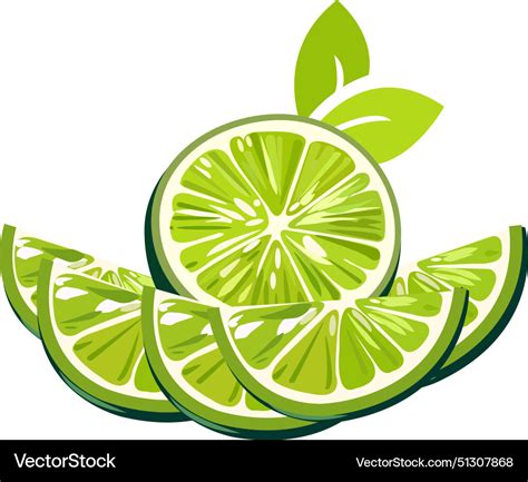 Fresh Lemon Citrus Fruit Half Sliced Royalty Free Vector