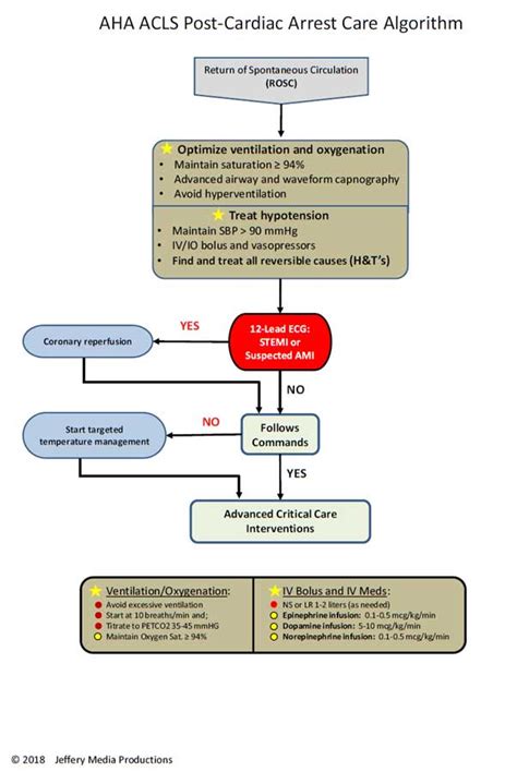 Post Cardiac Arrest Care Acls