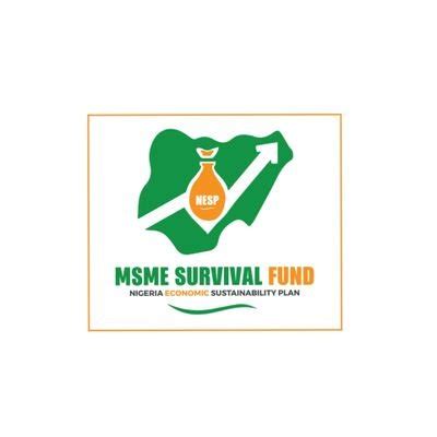 How To Apply For The Msme Survival Fund Daily Trust