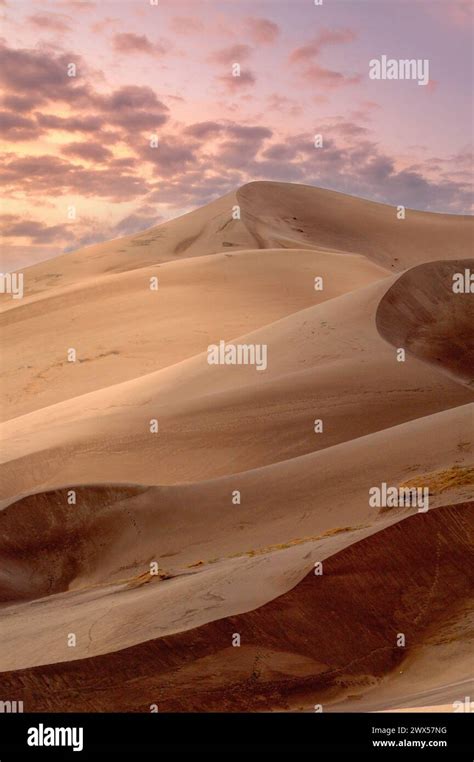 Gentle Curves Of Sand Dunes Are Highlighted By The Fading Twilight