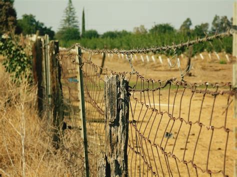 Premium Photo Barbed Wire Fence On Field