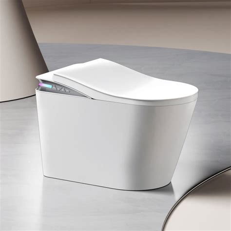 Siona Smart Toilet with Soft Close Heated Seat, Instant Water Heating ...