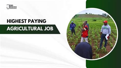 10 Highest Paying Agricultural Jobs In Nigeria Intel Region