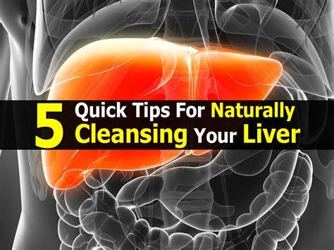 5 Quick Tips For Naturally Cleansing Your Liver