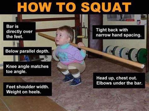 Funny Squat Quotes QuotesGram