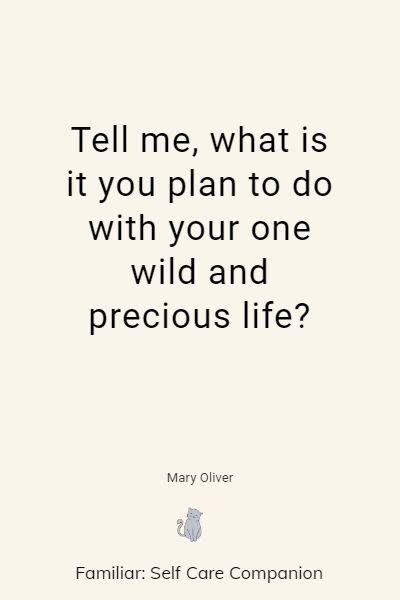 Quotes Of Mary Oliver Hot Sale