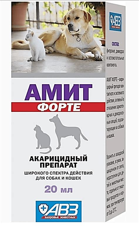 На кончиках ушей у собаки болячки покрытые корочкой: причины, лечение
