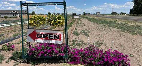 It’s Farmers Market season in the Valley - Alamosa Citizen