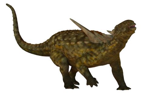 Sauropelta Pictures And Facts The Dinosaur Database