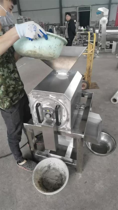 Industrial Peach Commercial Berry Mango Tomato Fruit Juice Extractor