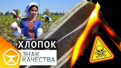 Хлопок. Знак качества | Центральное телевидение - YouTube