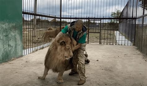 Facebook viral ingresa a jaula de enorme león y este lo sorprende con