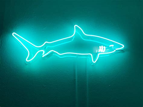 Neon shark sign for my wife! | Neon signs, Neon, Neon aesthetic