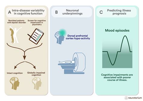 Studying Cognitive Impairment and its Neuronal Underpinnings