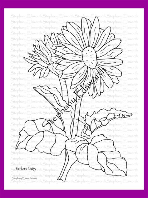 Gerber Daisy Coloring Pages