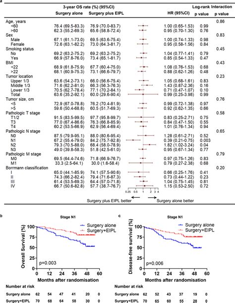 Subgroup Analyses A Subgroup Analyses Of Overall Survival According To Download Scientific