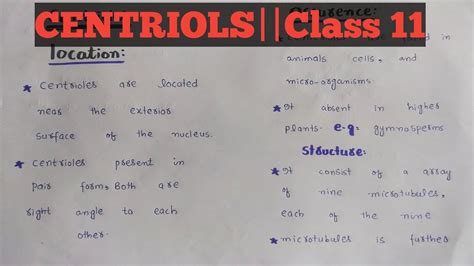 Centrioles Functions Class Chapter Easy Lectures By Zaib Youtube