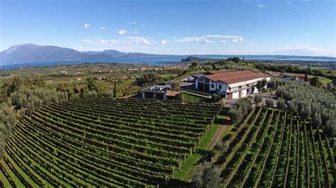 Cantine Franzosi Puegnago Sul Garda Aktuelle 2019 Lohnt Es Sich