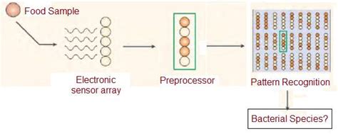 Food Adulteration Detection Methods-Electronic nose,optoelectronic sensing