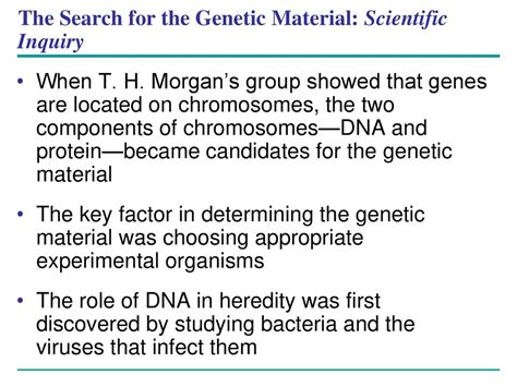 Chapter 16 Dna Ppt Download