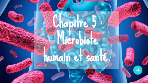 Microbiote Humain Et Sant